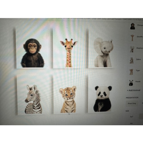 baby animal wall art