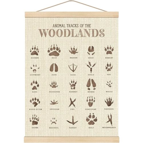 Boat Wades Animal Footprints Poster Hanger Frame, Kids Bathroom Playroom Decor, Footprints Nursery Hanging Banner Wall Art Decor for Toddler Kids Girl Boy Room Classroom, 12x16 Inch