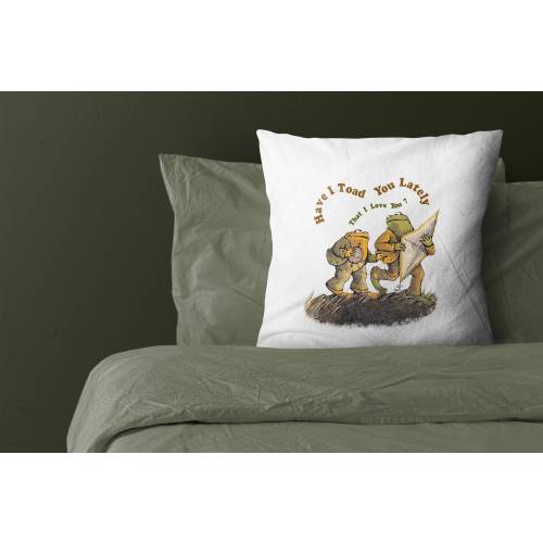 Frog And Toad Pillow, Valentine Book Lover Gift, Gift for friend, Vintage Classic Book Pillow Cover, Frog And Toad LGBT Gift, Loved one Gift