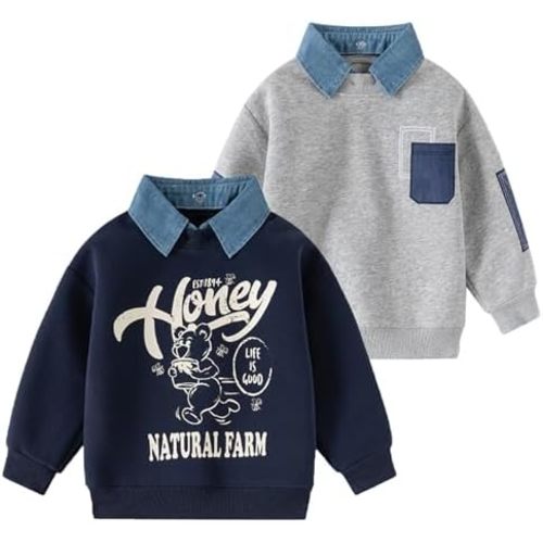 Toddler Boys Dinosaur Sweatshirts Pullover Crewneck Long Sleeve Top T-Rex T-shirt