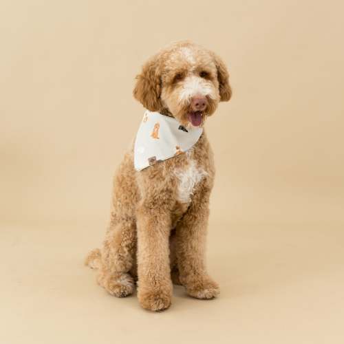 Dog Bandana in Fluffy Dog