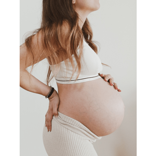 Rib Organic Cotton Nursing Bralette - Ivory – MORROW+MINT