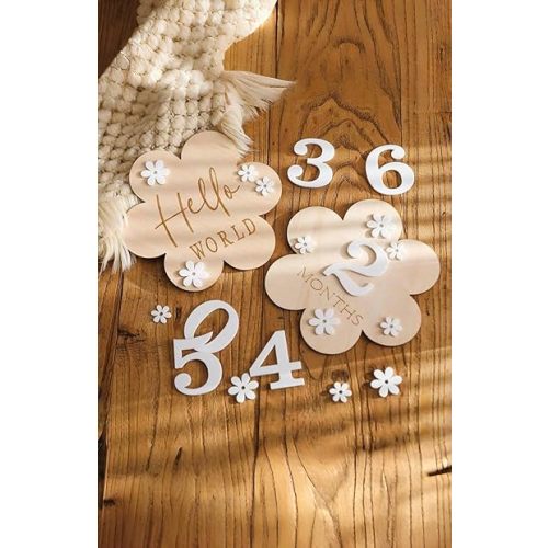 A Set of Baby 1-12 Months Wooden Milestone, Flower Shape Baby Milestone Signs for Baby Girl Boy, Memorial Photo Prop,Newborn Milestone Monthly Cards