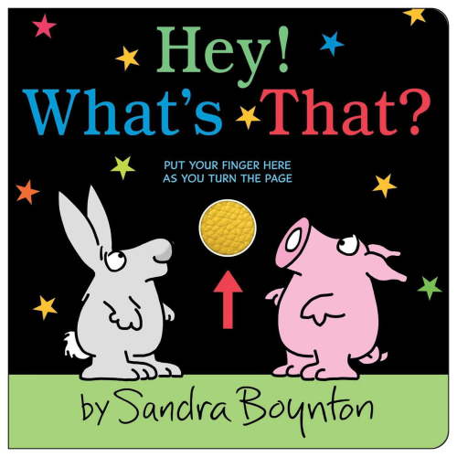 Hey! What's That? (Board Book)