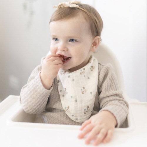 Crane Baby Organic 3-pc. Bunny Bib Set