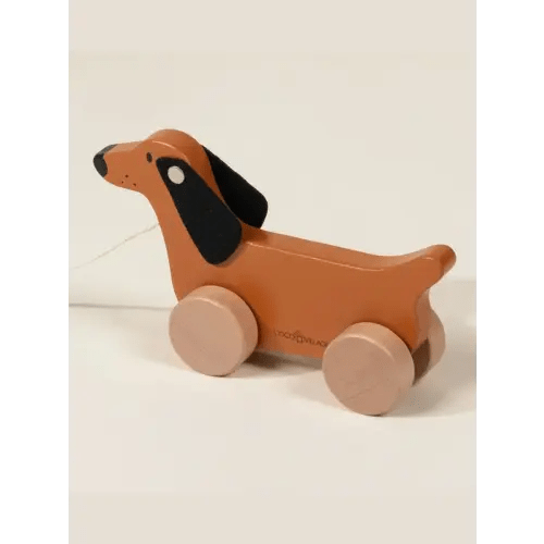 Dog Pull Toy
