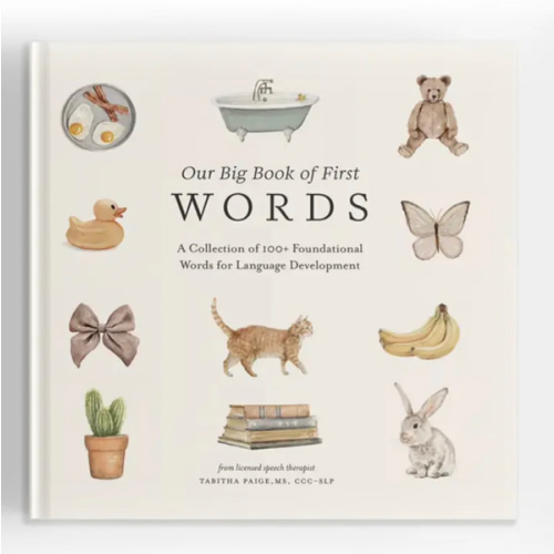 Our Big Book of First Words