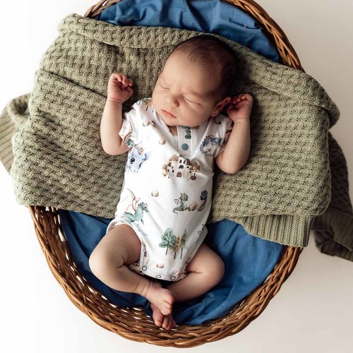 Dragon Short Sleeve Organic Baby Bodysuit | Snuggle Hunny