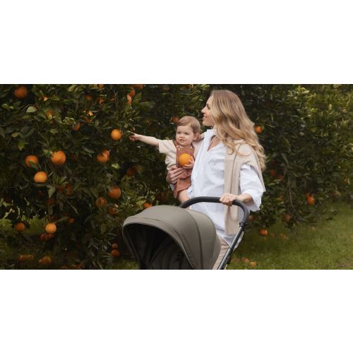 Redsbaby | Prams, Strollers, Carriers & Baby Essentials for Families