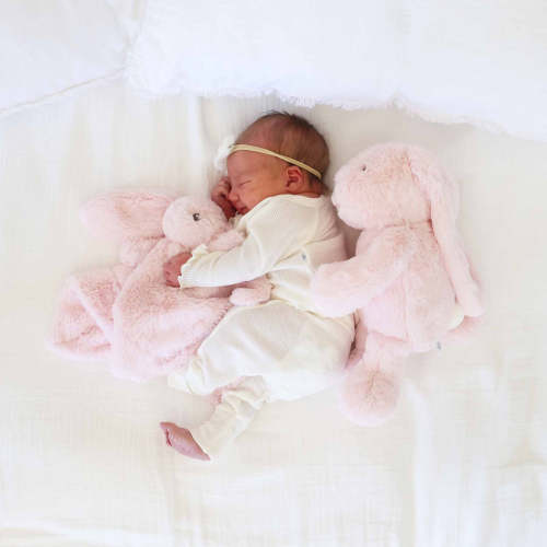 Cuddle Plush Friends Lovey | Honey Bunny