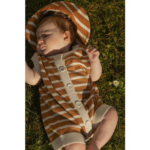 Thayer Jumpsuit in Apple Cinnamon Stripe