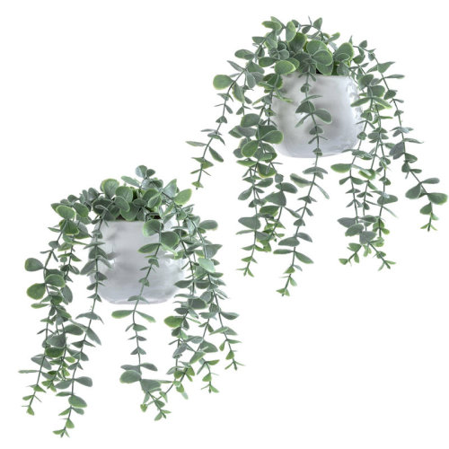 Primrue 2 Piece Faux Wall Eucalyptus Indoor Plants & Reviews | Wayfair