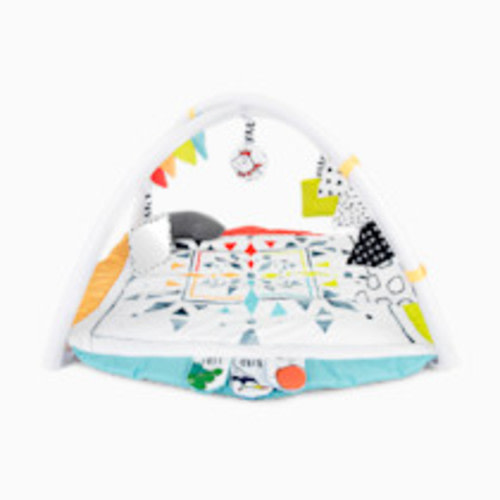 Sassy Hello Baby Play Gym
