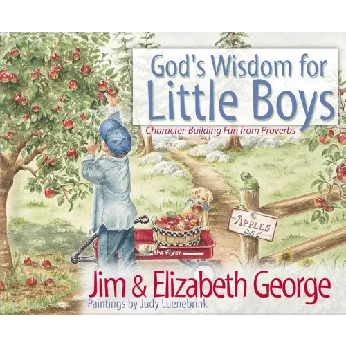God's Wisdom for Little Boys: Christian Picture Book Building Biblical Character Through Proverbs