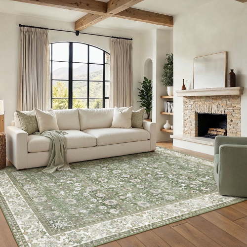 BERTHMEER 4'x6' Washable Indoor Area Rugs Vintage Oriental Distressed Rugs for Living Room Bedroom Dining Room Office Throw Rugs Non-slip,Green