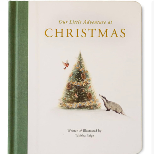 Our Little Adventure at Christmas: Featuring Foundational Language Concepts and Lessons on the Joy of Giving (Tabitha Paige Children's Book Series)