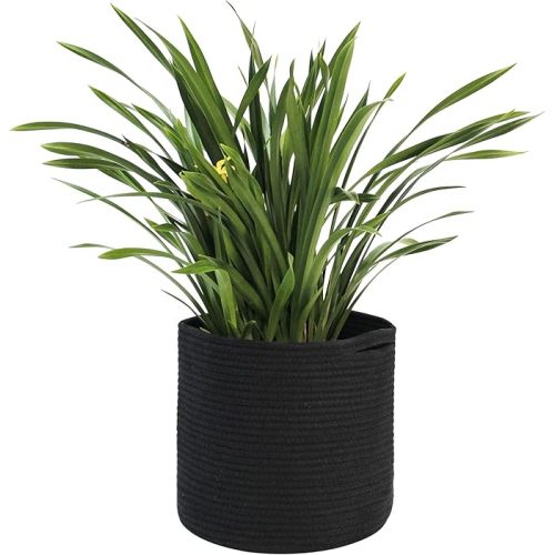 MEGASKET Cotton Rope Plant Basket, Woven Basket Planter for 10 inch Pot, Round Indoor Tree Pot Cover, Small Storage Bin Organizer, Modern Bins for Plants and Home Decor, 11”X11”, Black