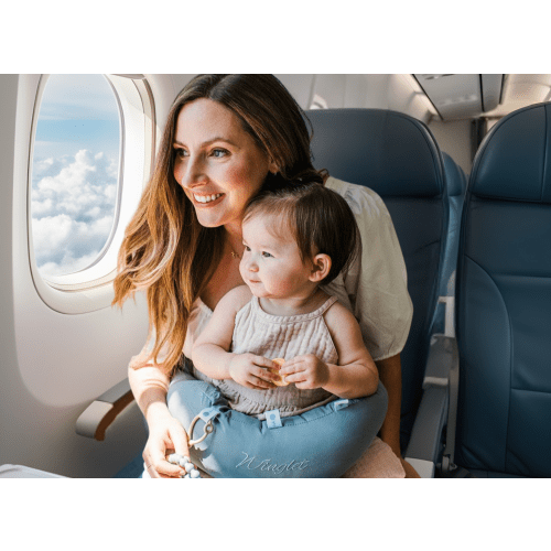 The Winglet™ - Lap Infant Pillow Seat