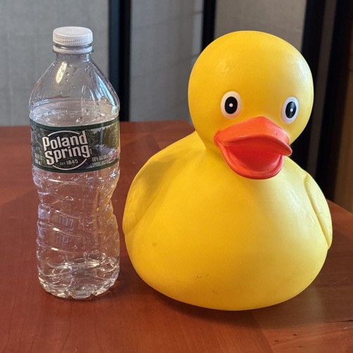 Jumbo Yellow Rubber Duck