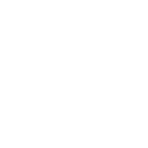 CalmiHaven™ Mommy bag