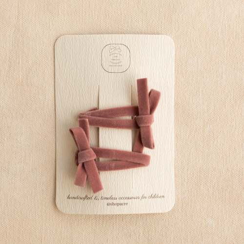 Snap Clip Set  // Wren