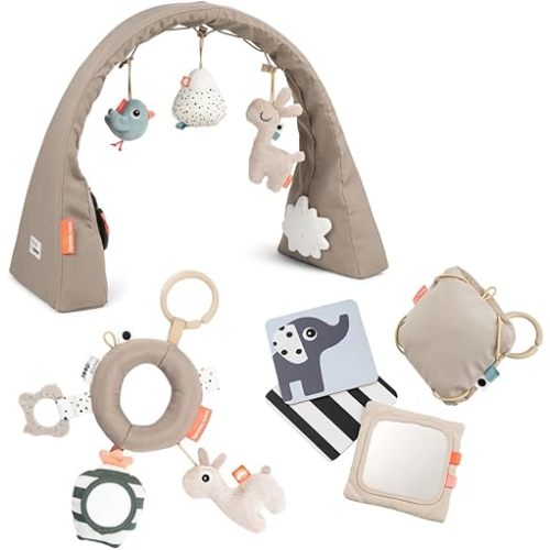 Done by Deer Award Winning Baby Free-Standing Activity Gym with a Sensory Activity Ring and Contrast Card Holder