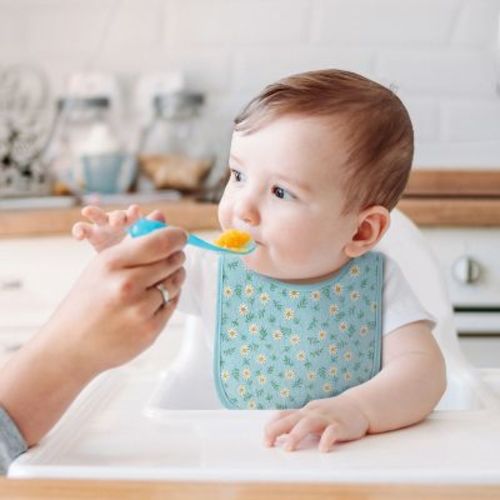 The Peanutshell Terry Baby Bib Set for Girls, 10-Pack, Feeding, Teething, Drooling, Sweet Girl