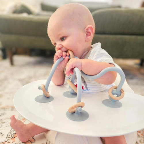 On-The-Go Suction Toy – Calla and Friends