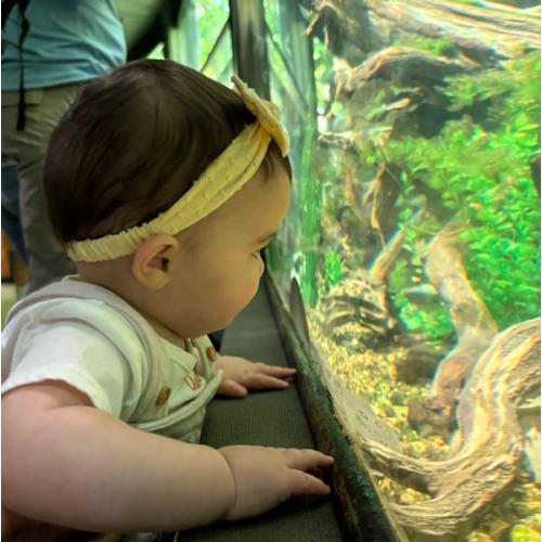 Zoo Membership!