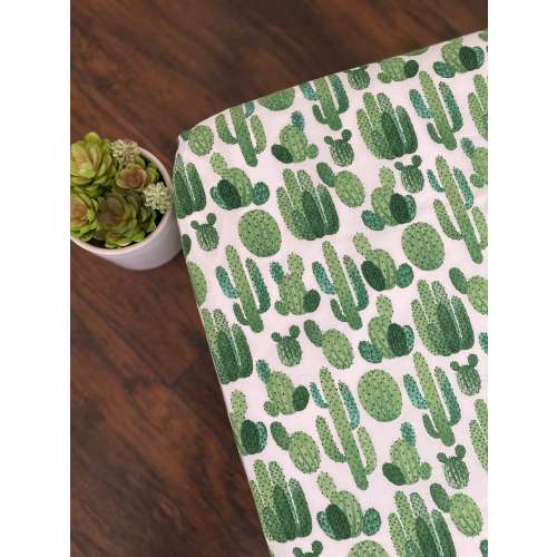 White and Green Cactus