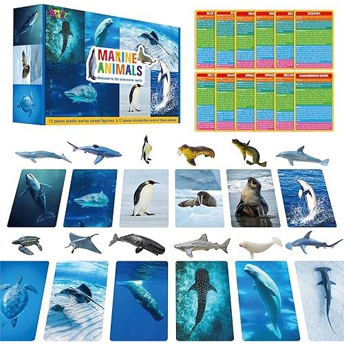12 PCS Plastic Marine Animal Figurines with 12 Introduction Flashcards, Ocean Animals Learning Recognition Cards Realistic Undersea Animal Figures Educational Learning Toy Set for Kids, Classroom
