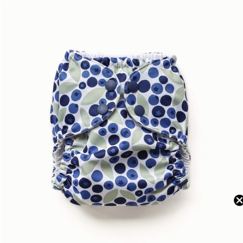 Outer–WWF Blueberries / One