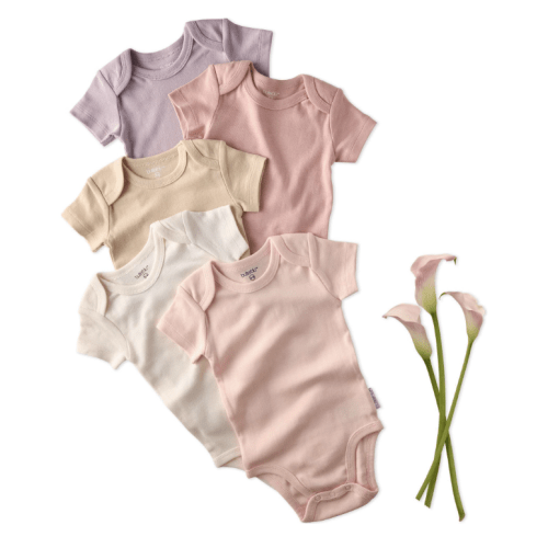 5-Pack Short Sleeve Bodysuits - Newborn
