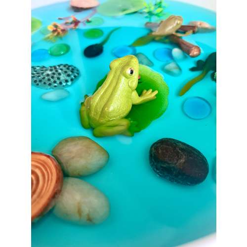 Pond Life Cycle Sensory Kit And Water Play – Playful Little Minds