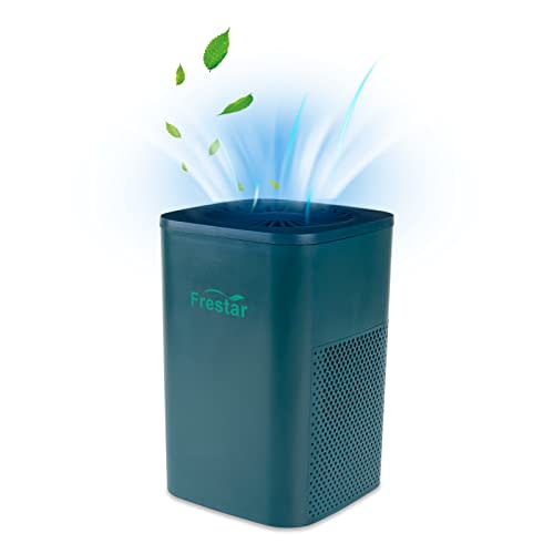 Desktop Air Purifier with HEPA Filter for Office Bedroom Bathroom, Small USB Air Purifiers, Super Quiet Powered by USB No Adapter(Green)