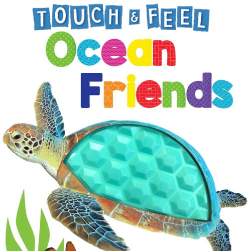 Ocean Friends - Touch and Feel Board Book - Sensory Board Book