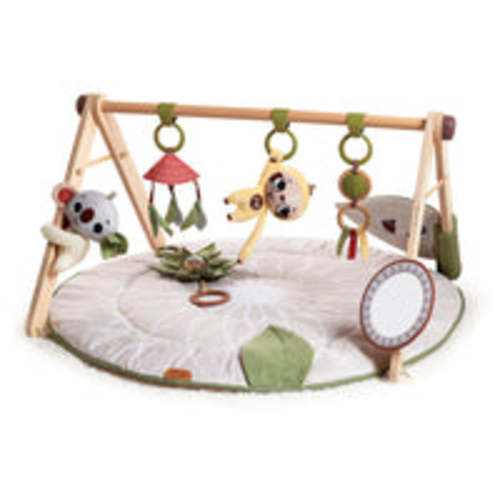 Tiny Love Boho Chic Luxe Gymini