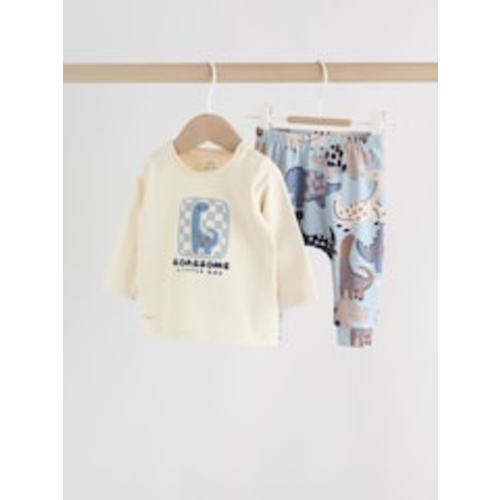 Buy Blue Dinosaur Baby Top and Leggings Set 2 Piece (0mths-3yrs) from Next USA