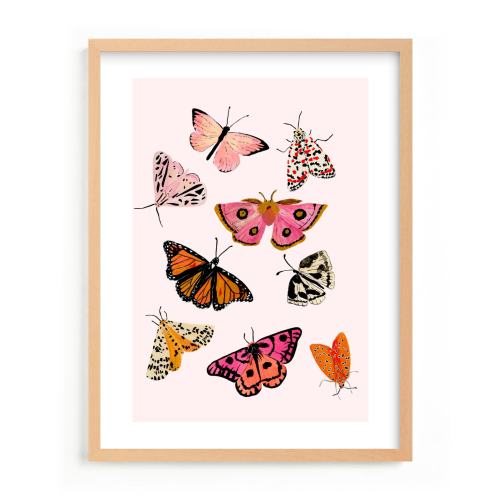 Moths & Butterflies Limited Edition Nursery Art Print by Shannon Kirsten