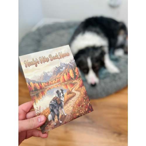 Fake book phone case: Healy's Hike Back Home