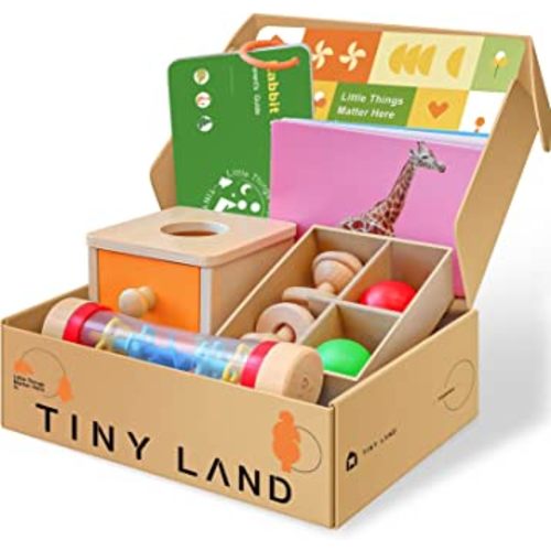 Tiny Land Montessori Toys for Babies 6-12 Months-4 in 1 Wooden Learning Educational Toy Set Includes Teething Toy, Rainmaker Baby Toy, Flash Card and Object Permanence Box-Gift for 1 Year Old Infant