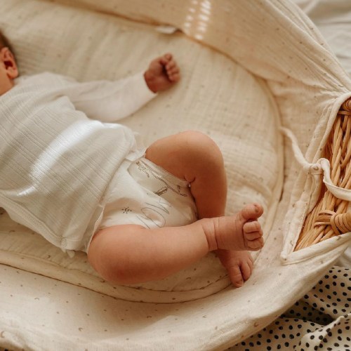 Diaper Fund