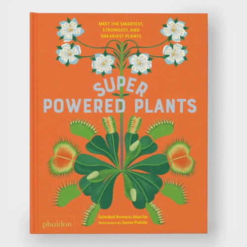 Superpowered Plants – Kinoko Kids