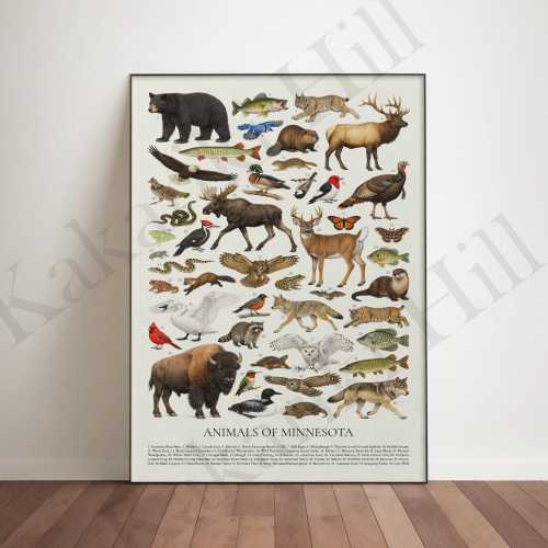 Animals of Minnesota Poster: Educational Wildlife Identification Chart
