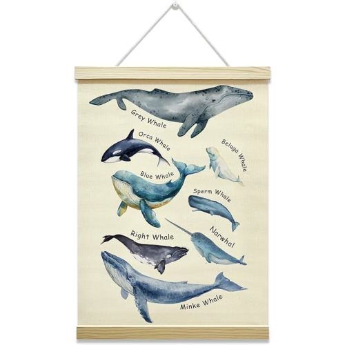 Whales Poster Hanger Frame, Whales Nautical Wall Hanging Decor, Educational Canvas Poster with Wood Frame, Nursery Playroom Classroom Teens Bedroom Wall Decor, 12x16 Inches -29