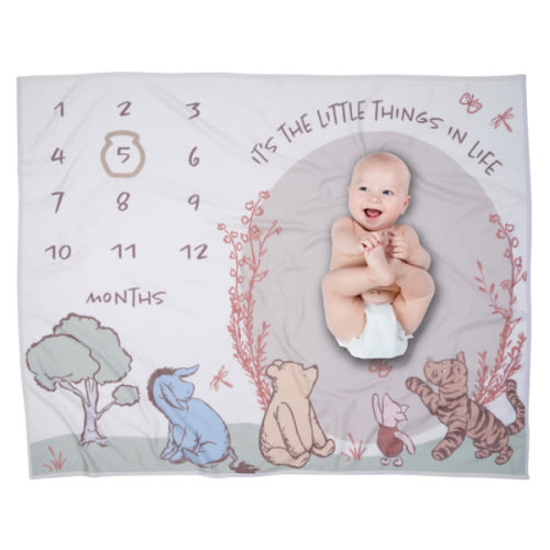 Lambs & Ivy Disney Pooh Bear and Pals Photo Opp Milestone Fleece Baby Blanket