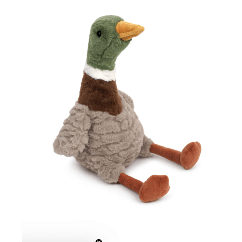 River Mallard Duck