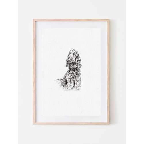 Custom Pet Portrait Sketch from Photo