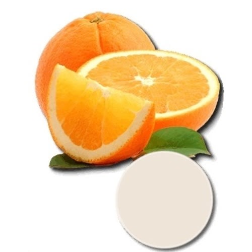 Citrus Circles Diaper Pail Deodorizer Discs - FREE SHIPPING OVER $35