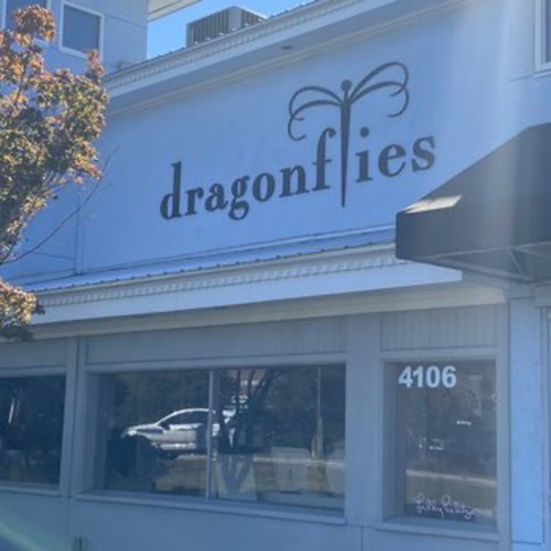 Dragonflies Baby Clothes/Sleepers/Washcloths